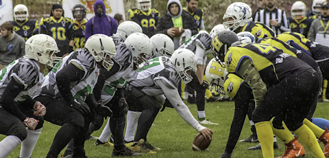 White Lions | Omida VLS