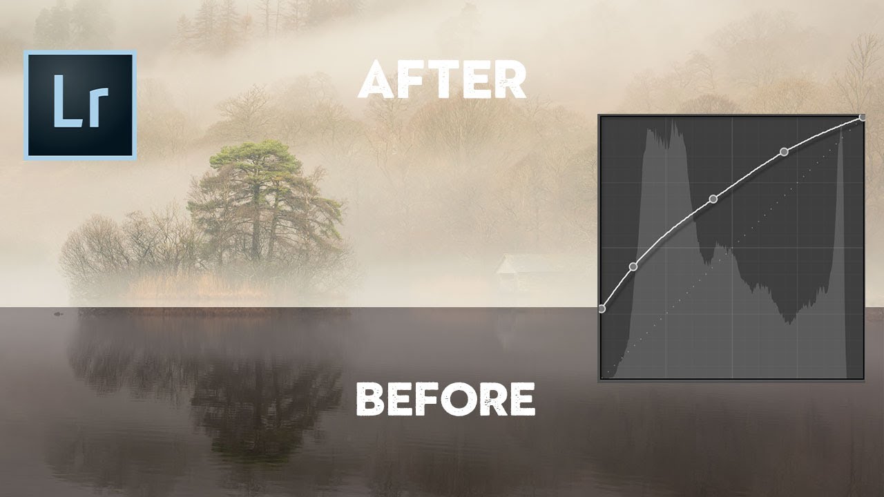 Everything You Need to Know About the Tone Curve in Lightroom