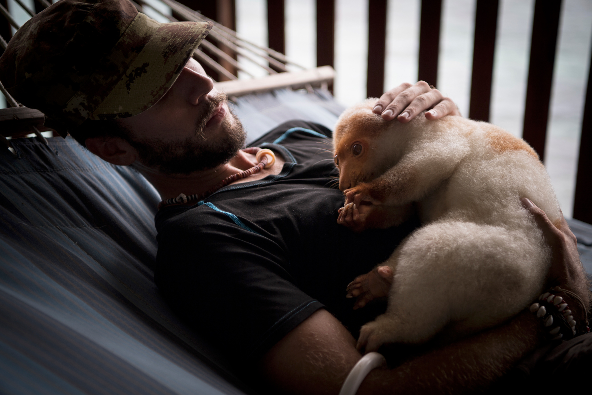 alessio befriending wildlife