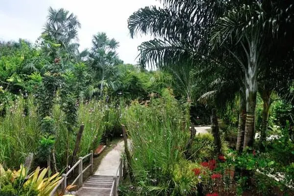 jardin botanique guyane