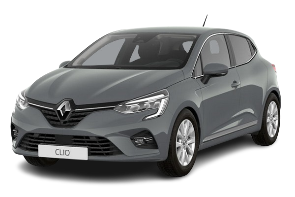 Clio grise (4)
