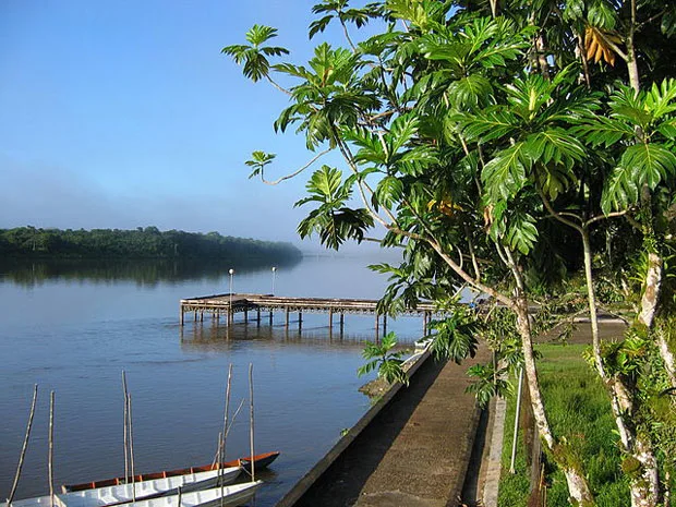 crique-angele-guyane