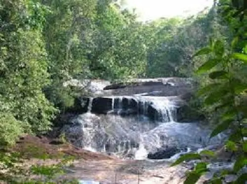 chutes-voltaire-cascade-guyane