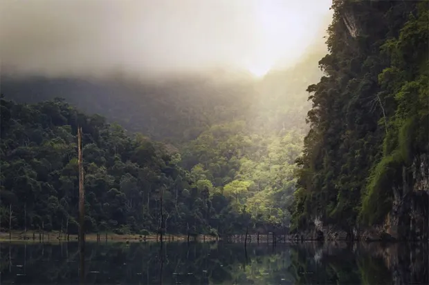 nature-amazonienne-guyane