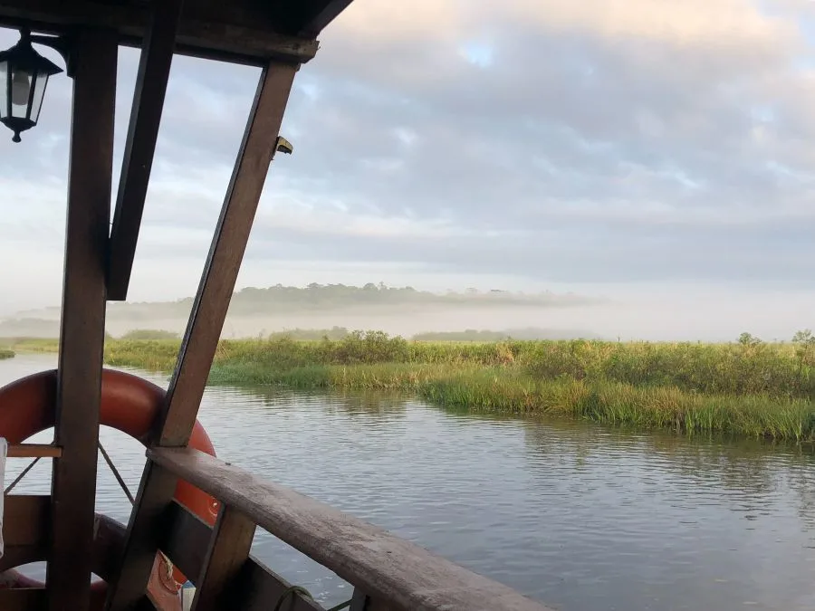 marais-de-kaw-brume-matin