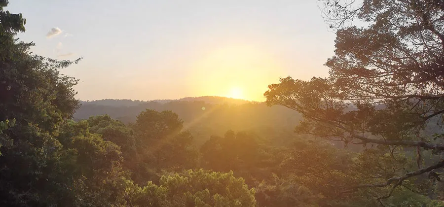 coucher-soleil-canopee-guyane