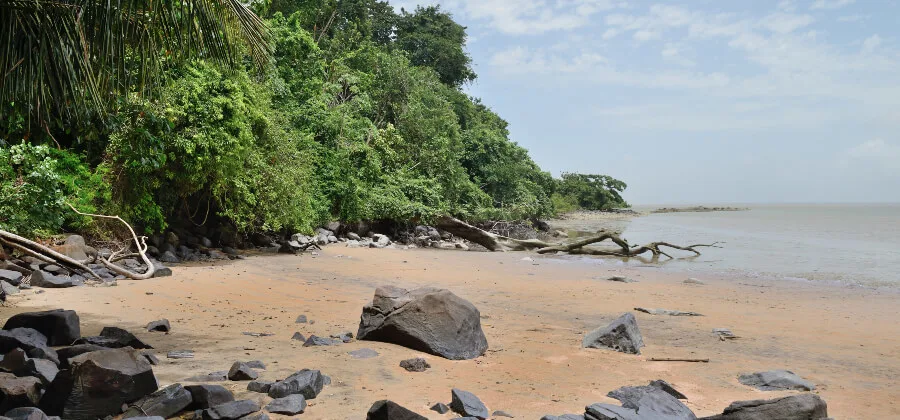 plage-ilet-la-mere-guyane