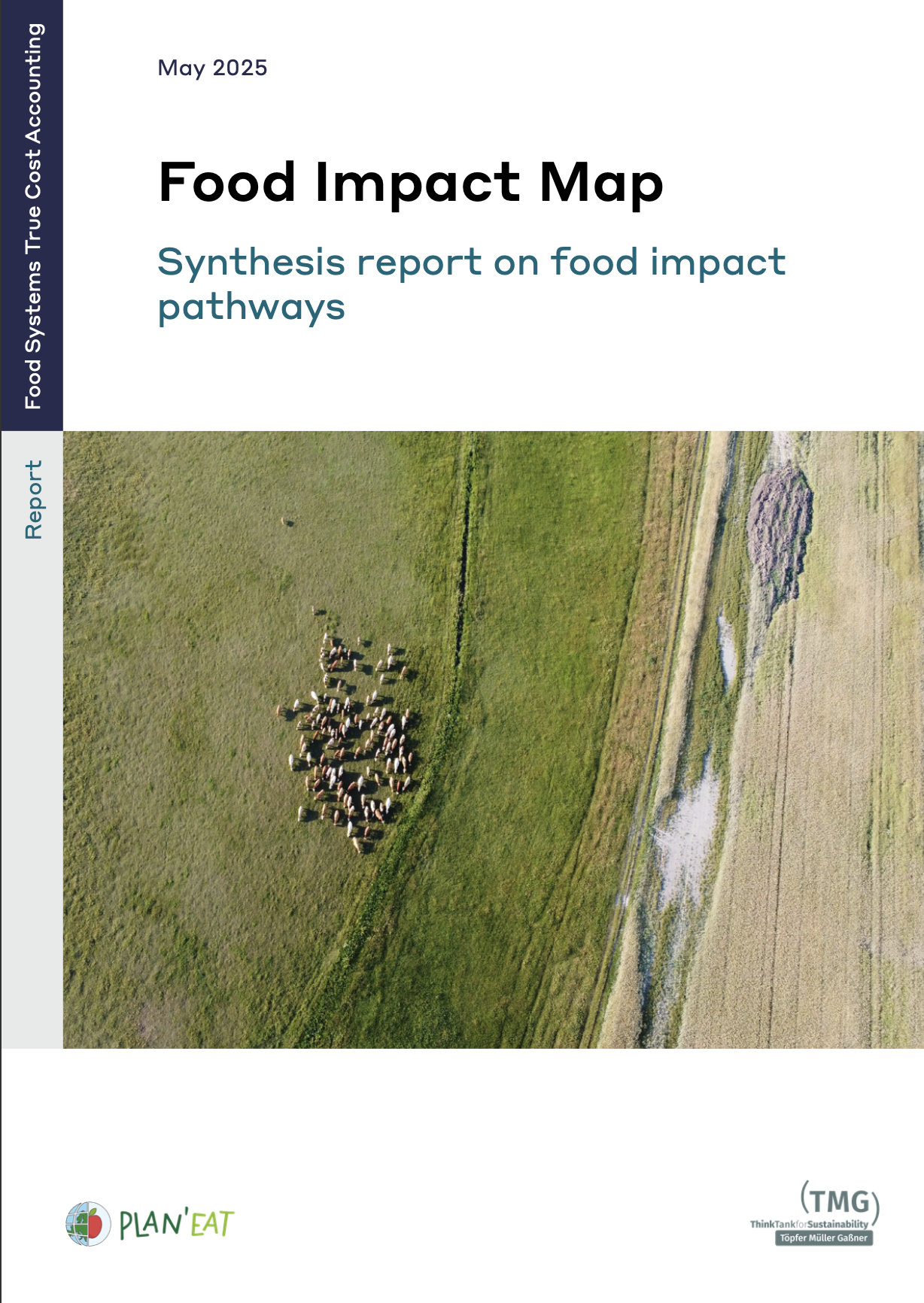 Food Impact Map: Synthesis report on food impact pathways