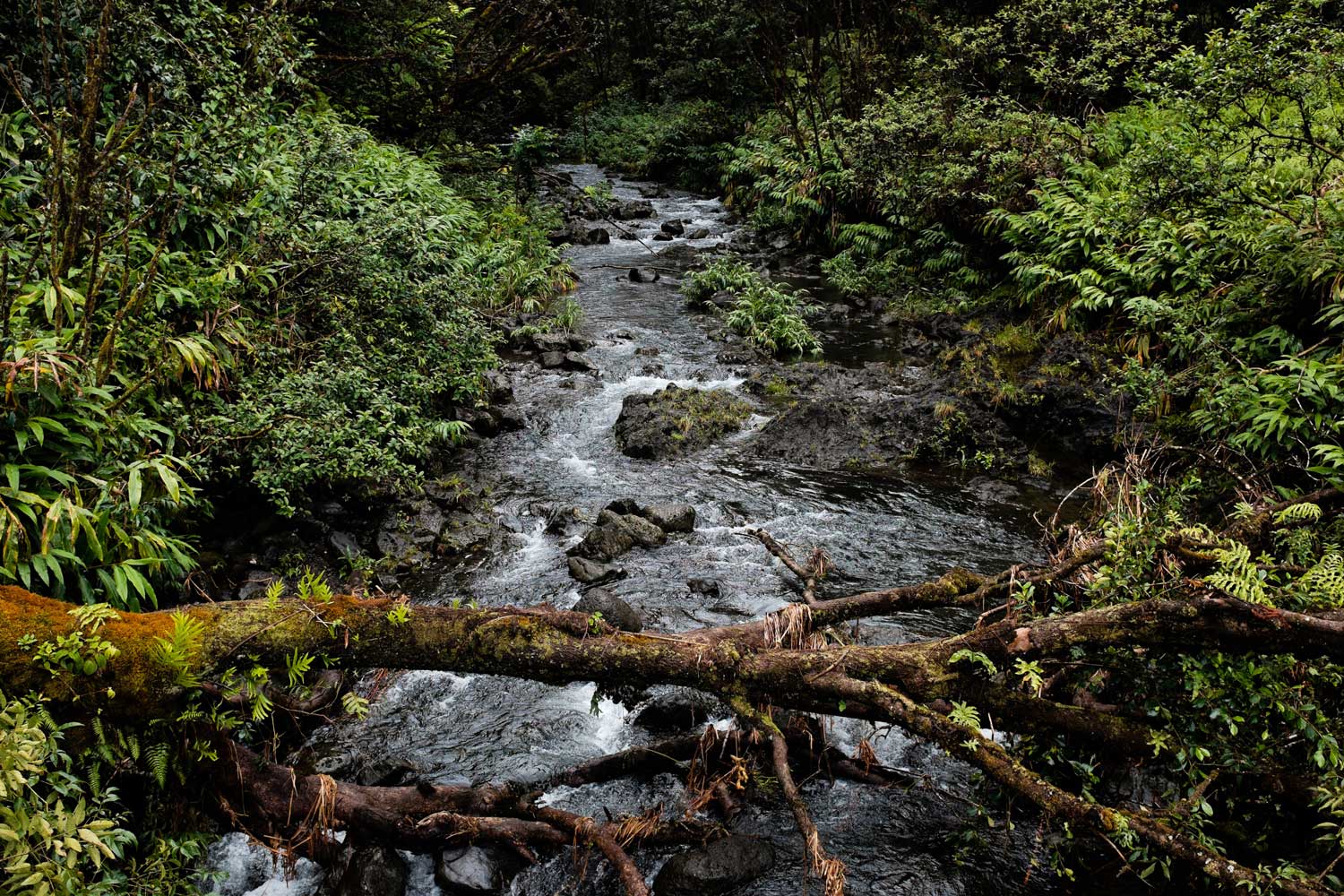 From Watershed Development to Ecosystem-based Adaptation