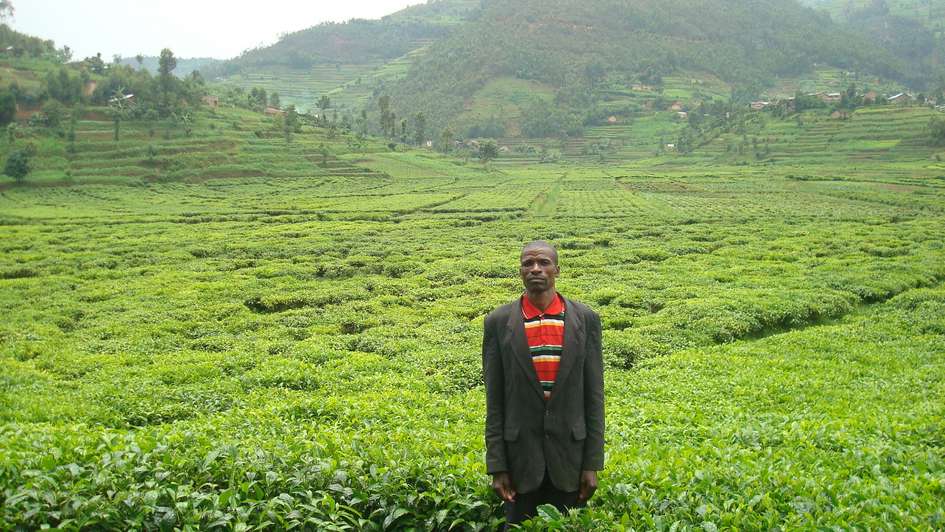 Making the hidden costs of our food systems visible