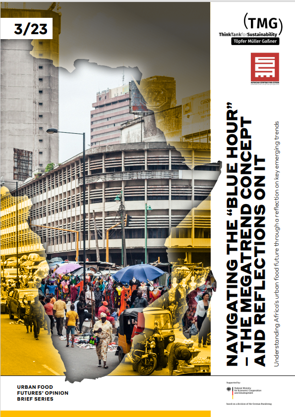 The Megatrend Concept and Reflections on it   