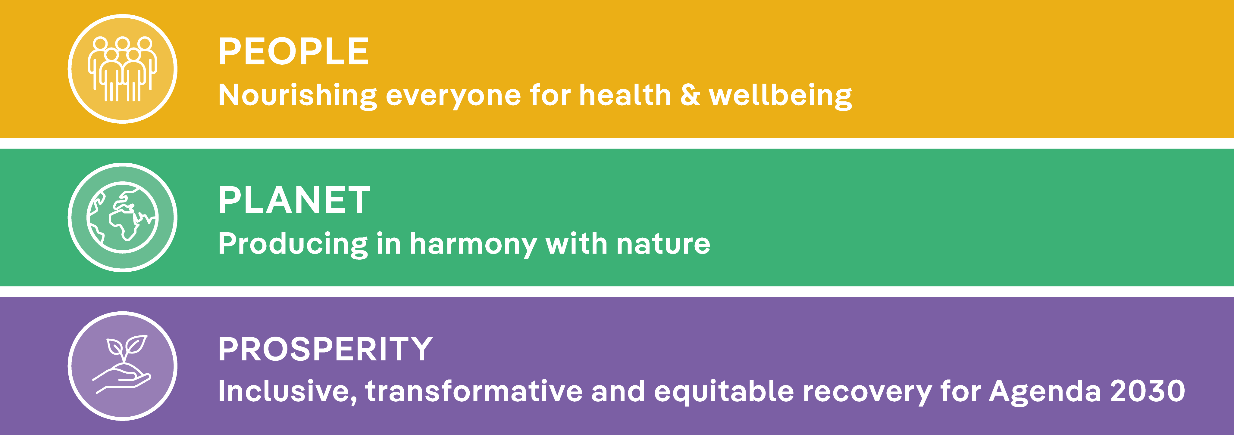 Open research and consultancy positions at TMG