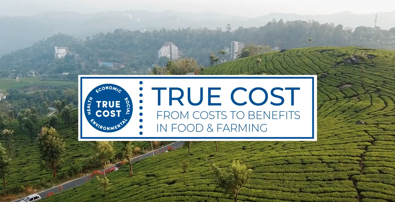 In Harmony with Humanity and Nature: How a Project in Southern India Creates New Perspectives
