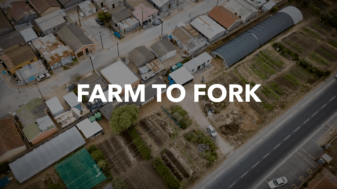 Farm to Fork: an episode in a South African food series