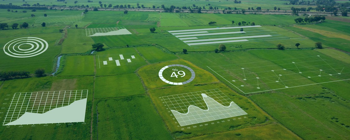 Workshop on inclusive digitalisation of agriculture in the EU, Africa and the US - Expert group discussion