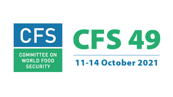 Committee on World Food Security Annual Plenary