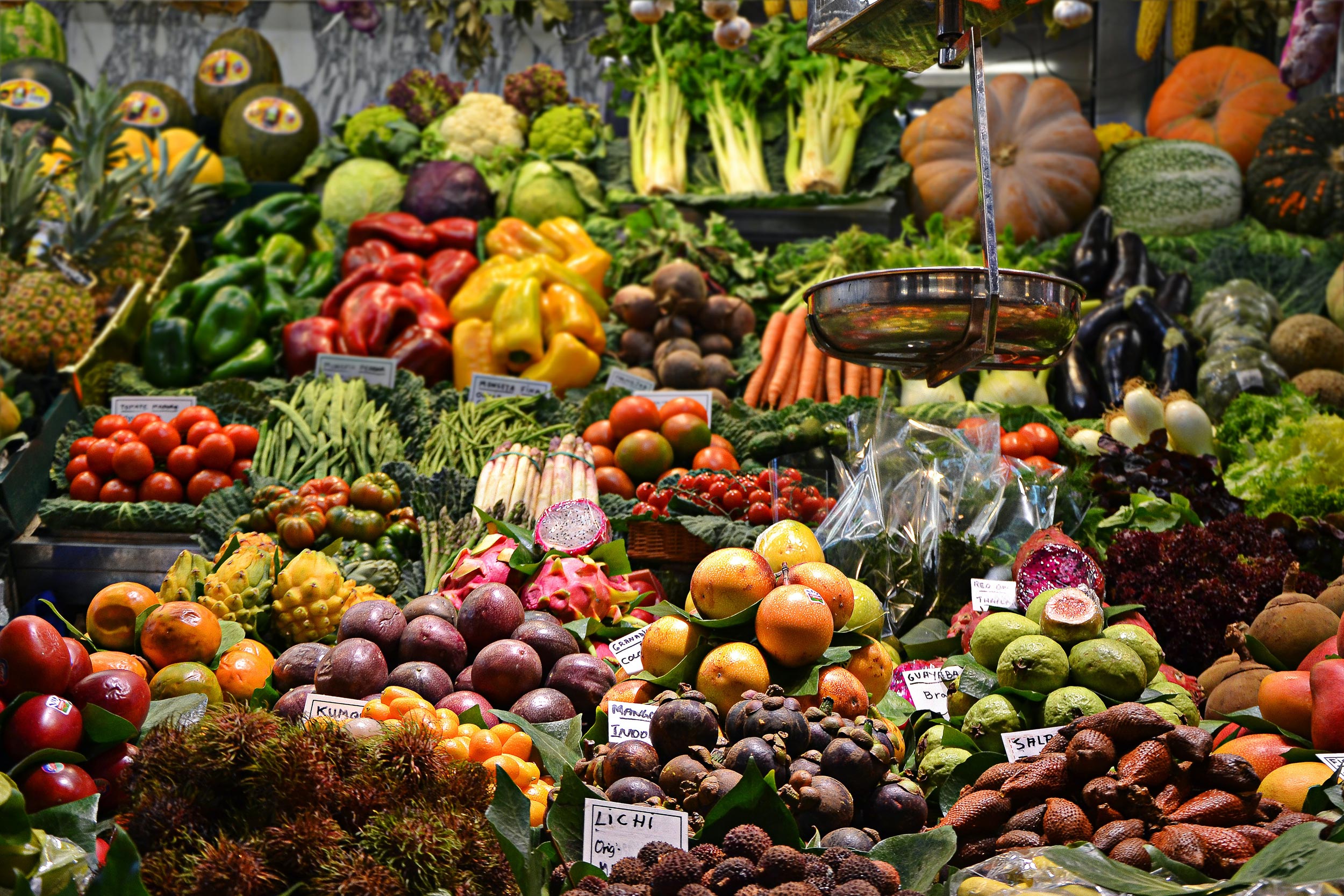A lot on our plate: Dietary patterns as a starting point for the sustainable transformation of food systems 