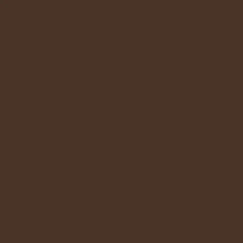 RAL 8014 MARRONE SEPPIA