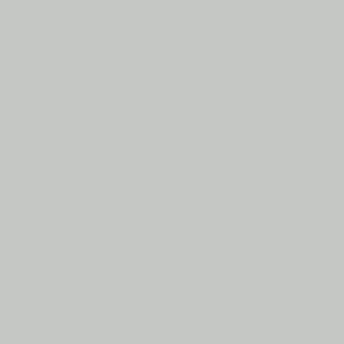 RAL 7035 GRIGIO GHIAIA