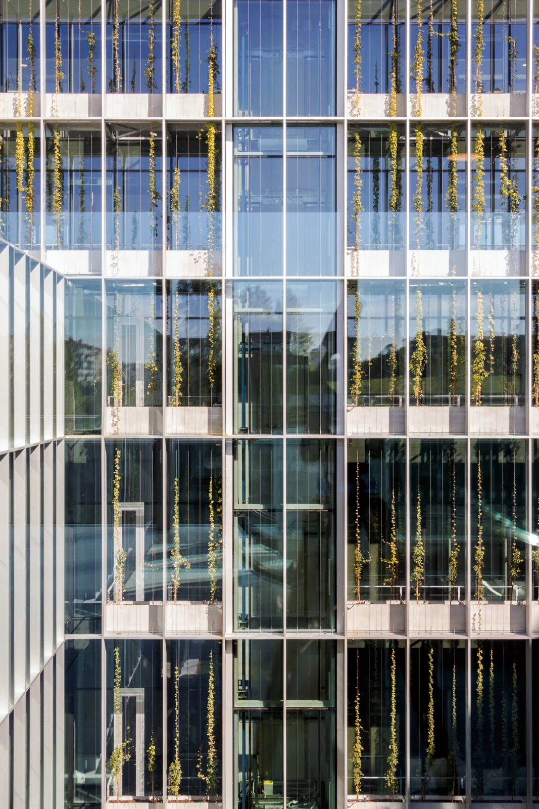 PH_TEC_mencion-Hospital-da-luz_PT-1