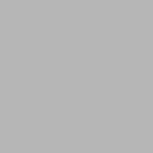 RAL 7004 GRIGIO SEGNALE