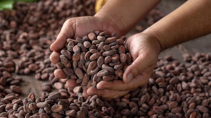 Nouveaux matériaux : un village durable à base de cacao recyclé !