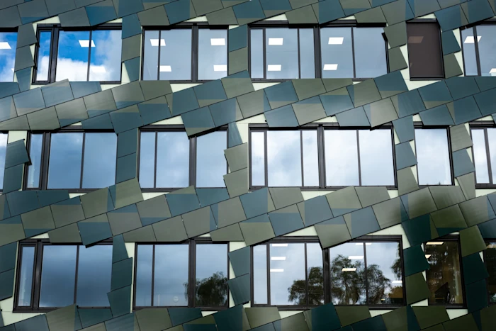 Windows & French windows