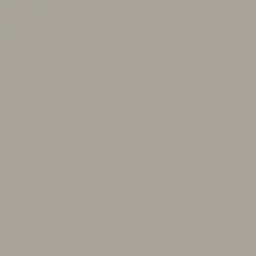 RAL 7044 GRIGIO SETA
