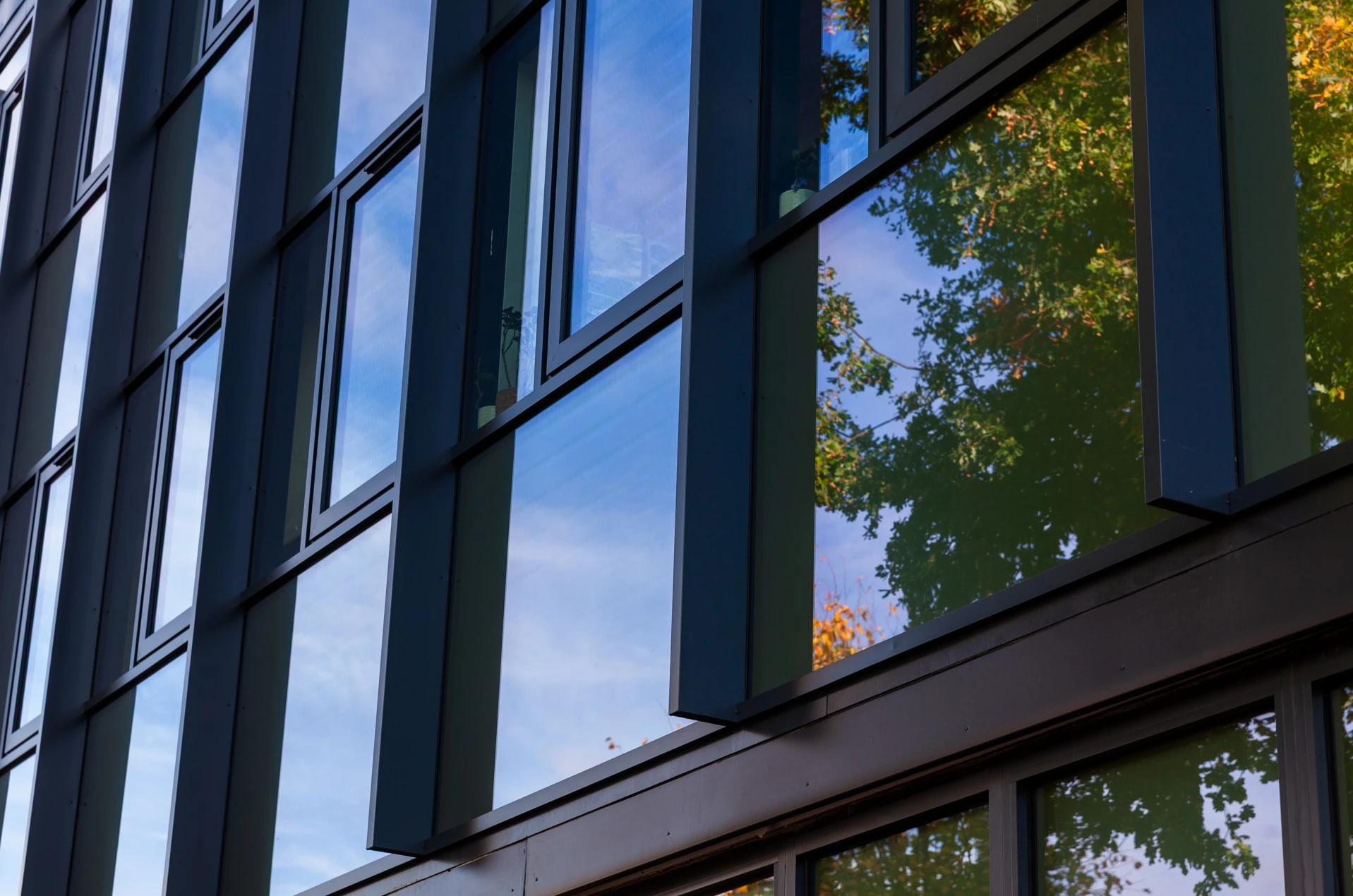 PH TEC b2b palmers-green-school-2