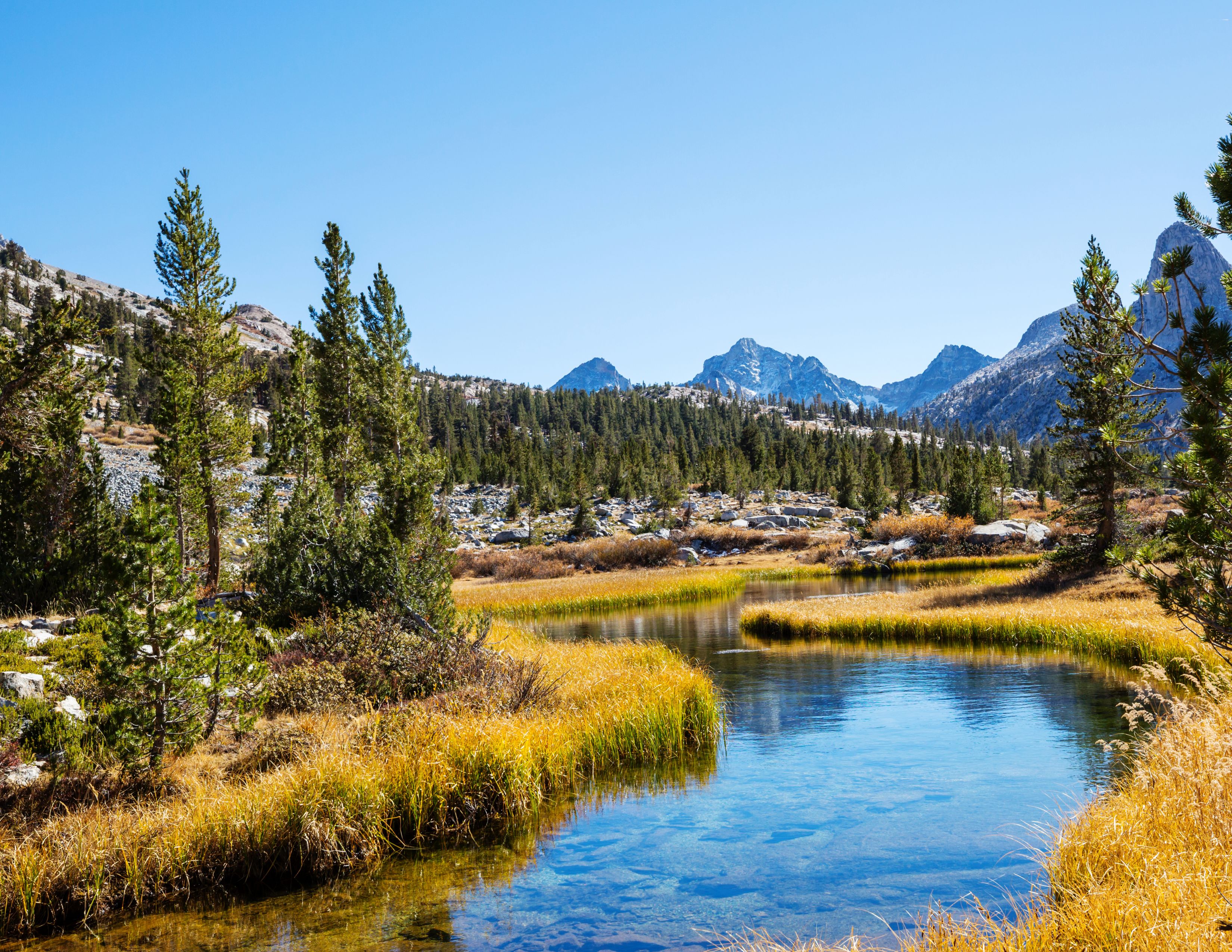 Nevada Landscape