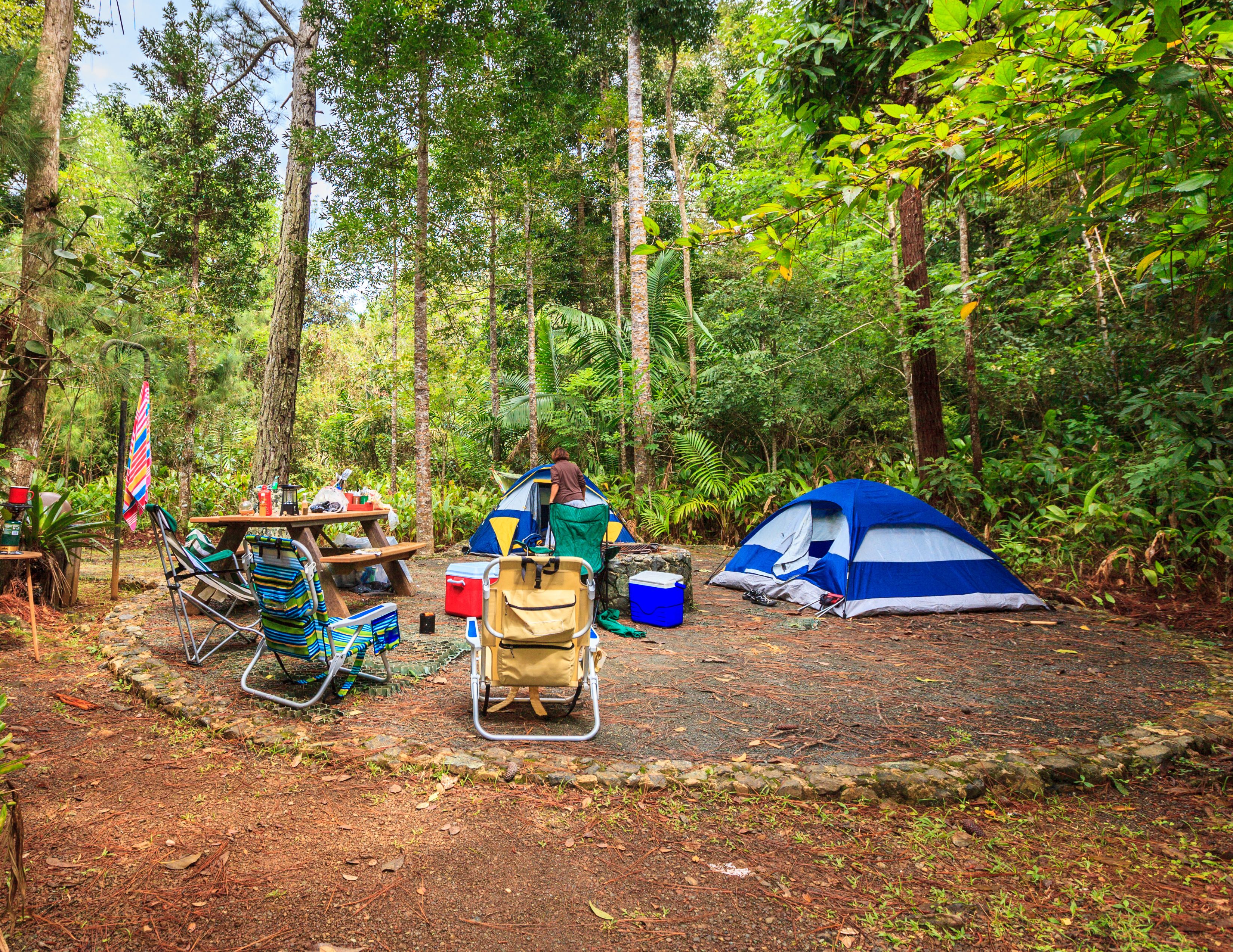 Camp Sites Near Bellevue | 