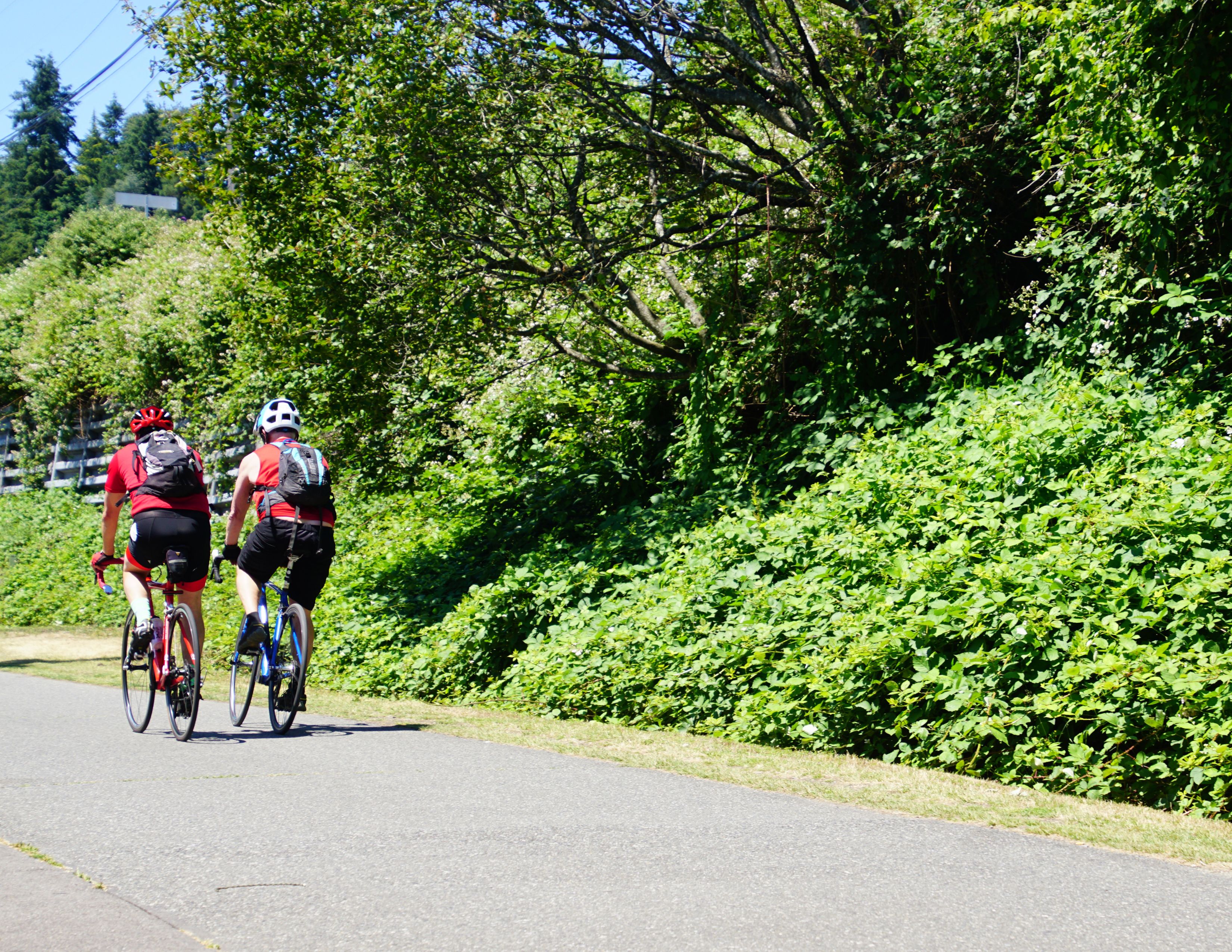 Biking Burke-Gilman Trail Near Bothell | 