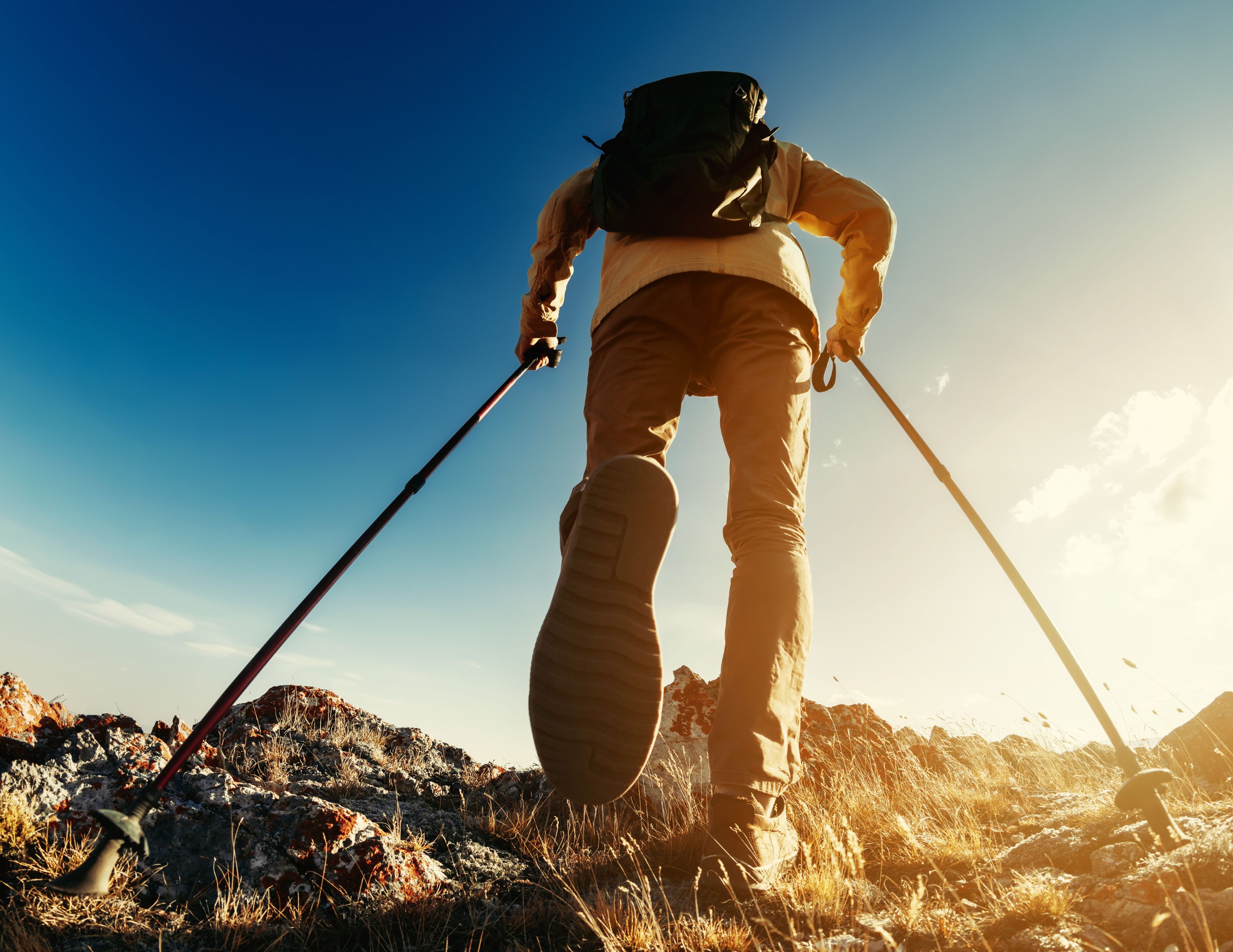 Trekking Poles for Hiking