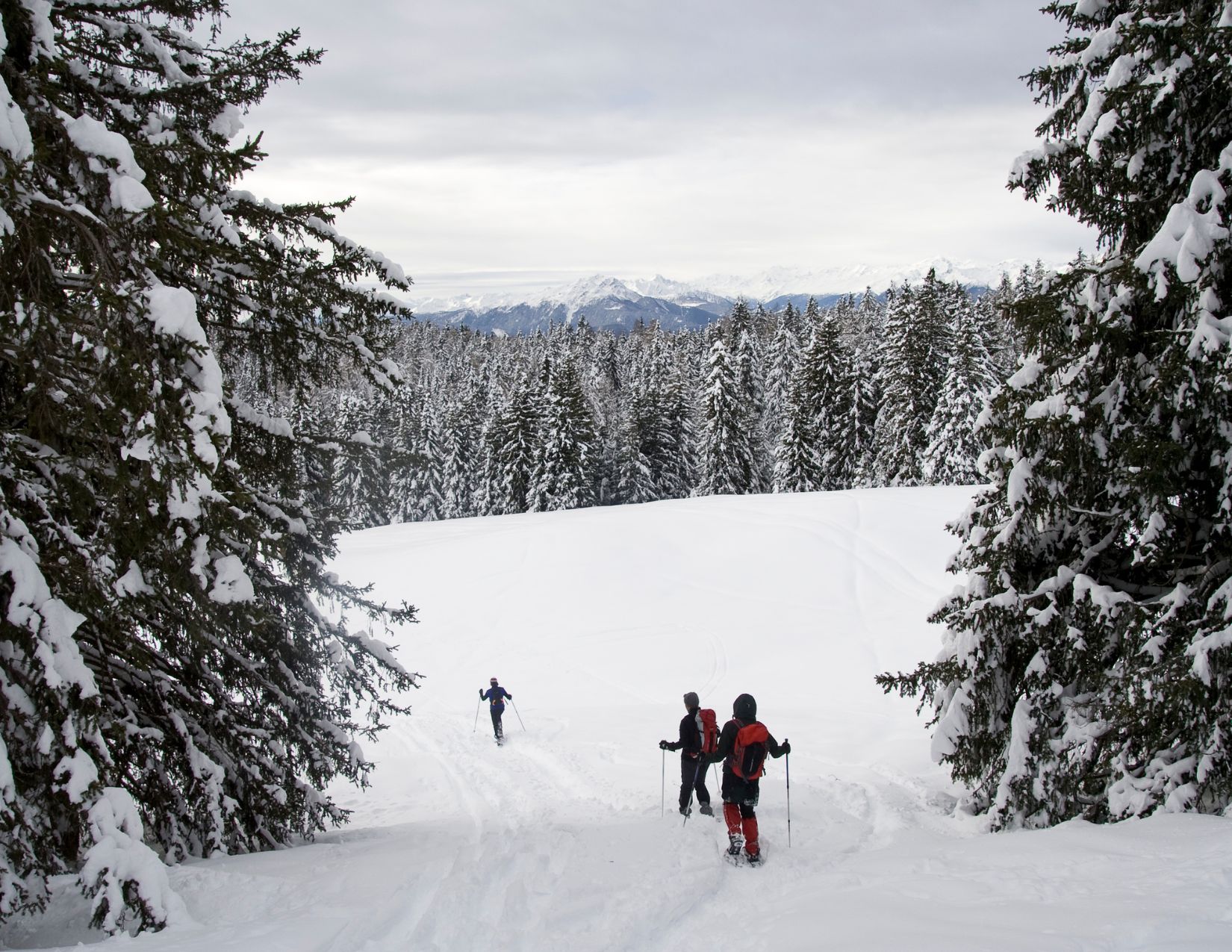 Snowshoeing Near Mount Rainier