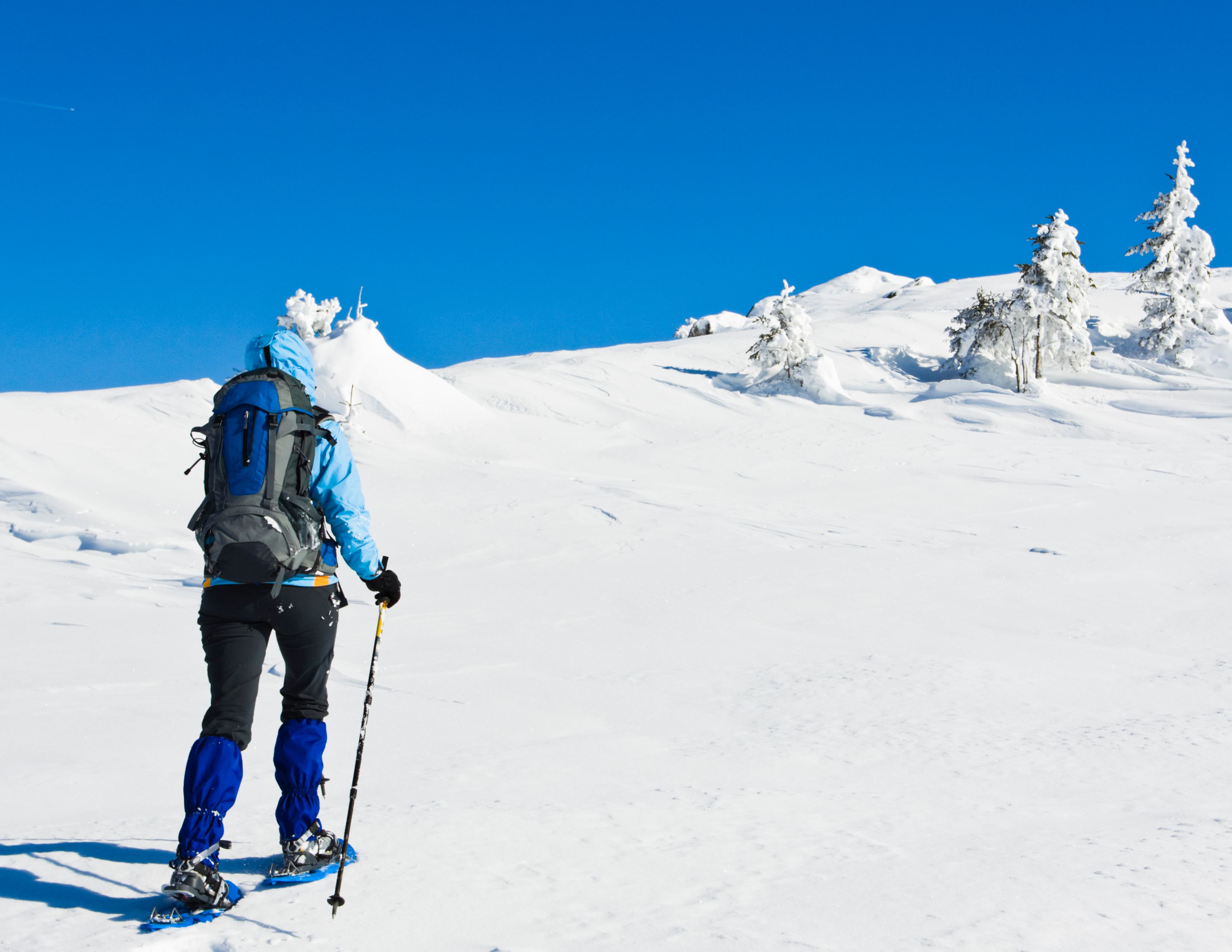 Snowshoeing Near Seattle | 