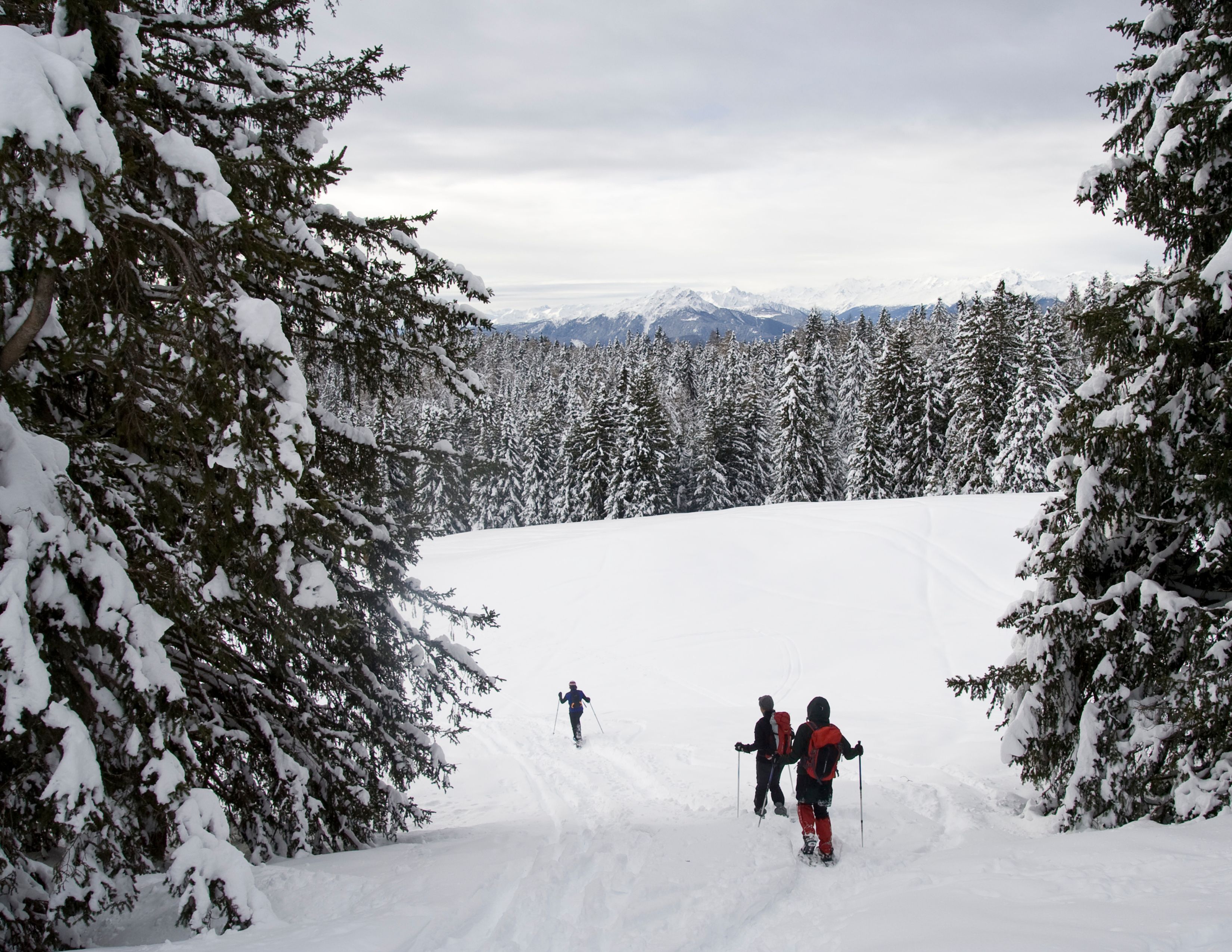 Snowshoeing