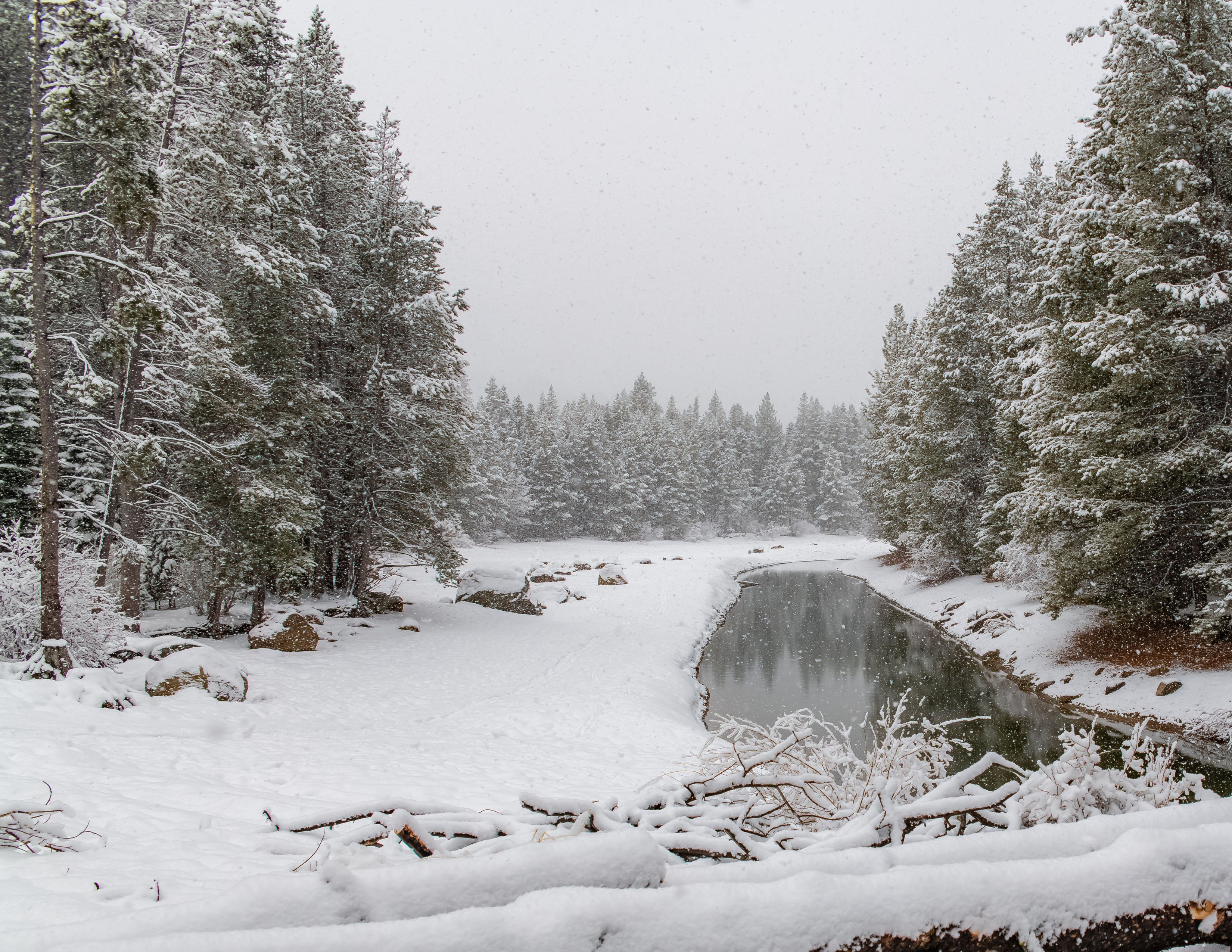 Snoqualmie Pass Winter