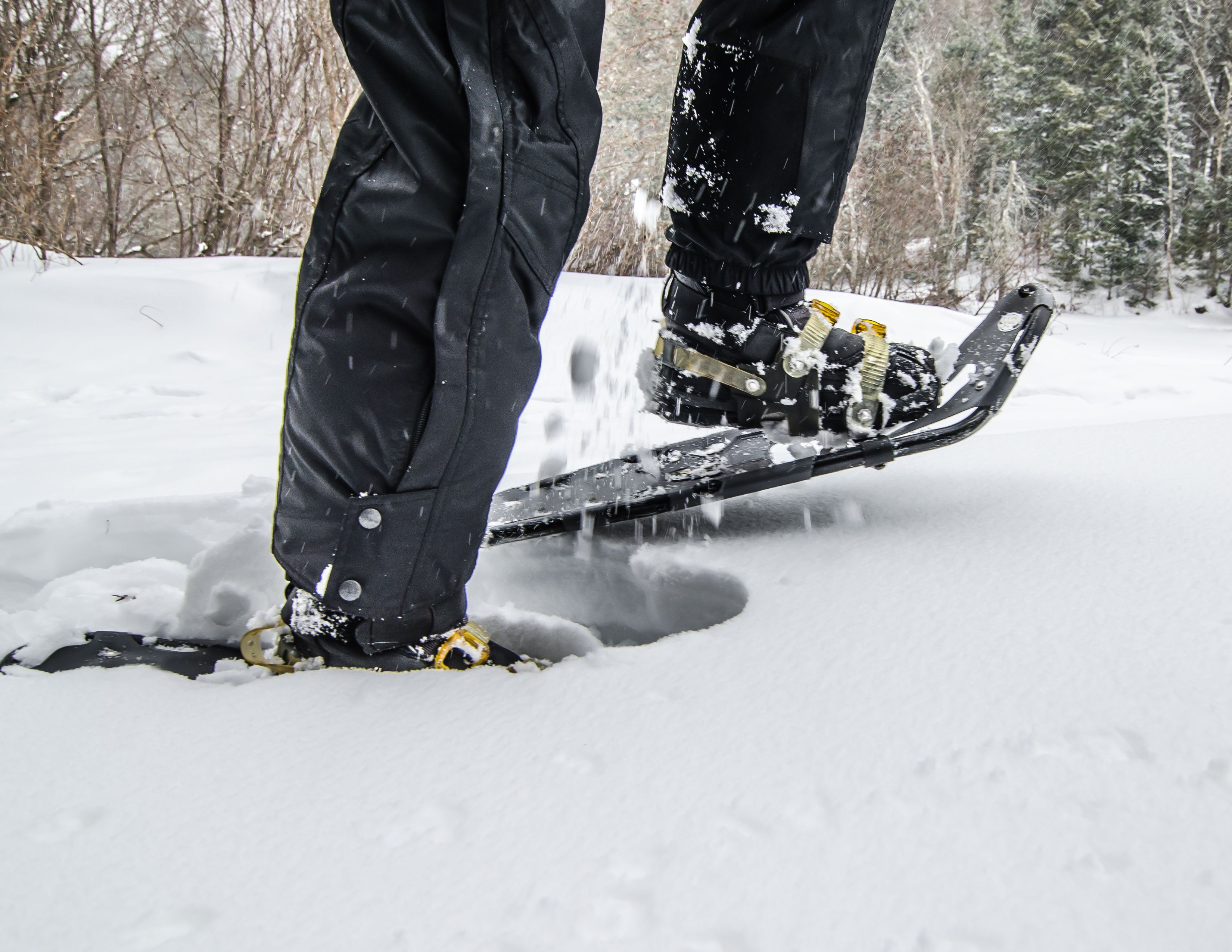 Snowshoing Around Washington | 