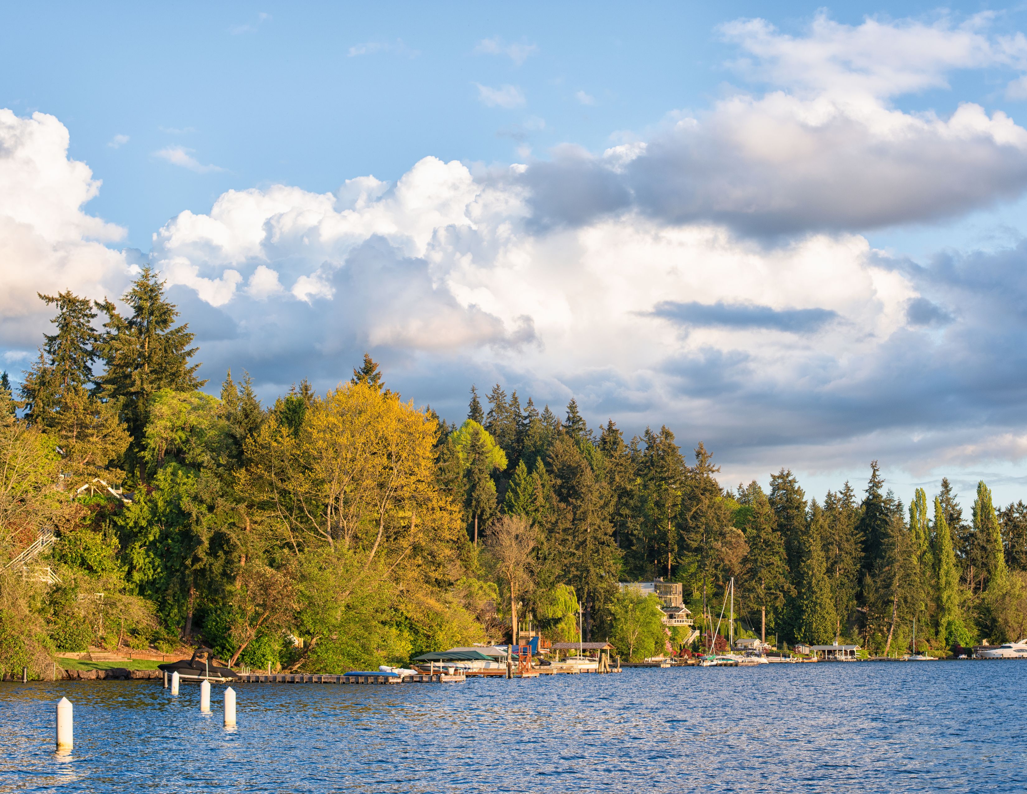 Bellevue Outdoor Activities | 