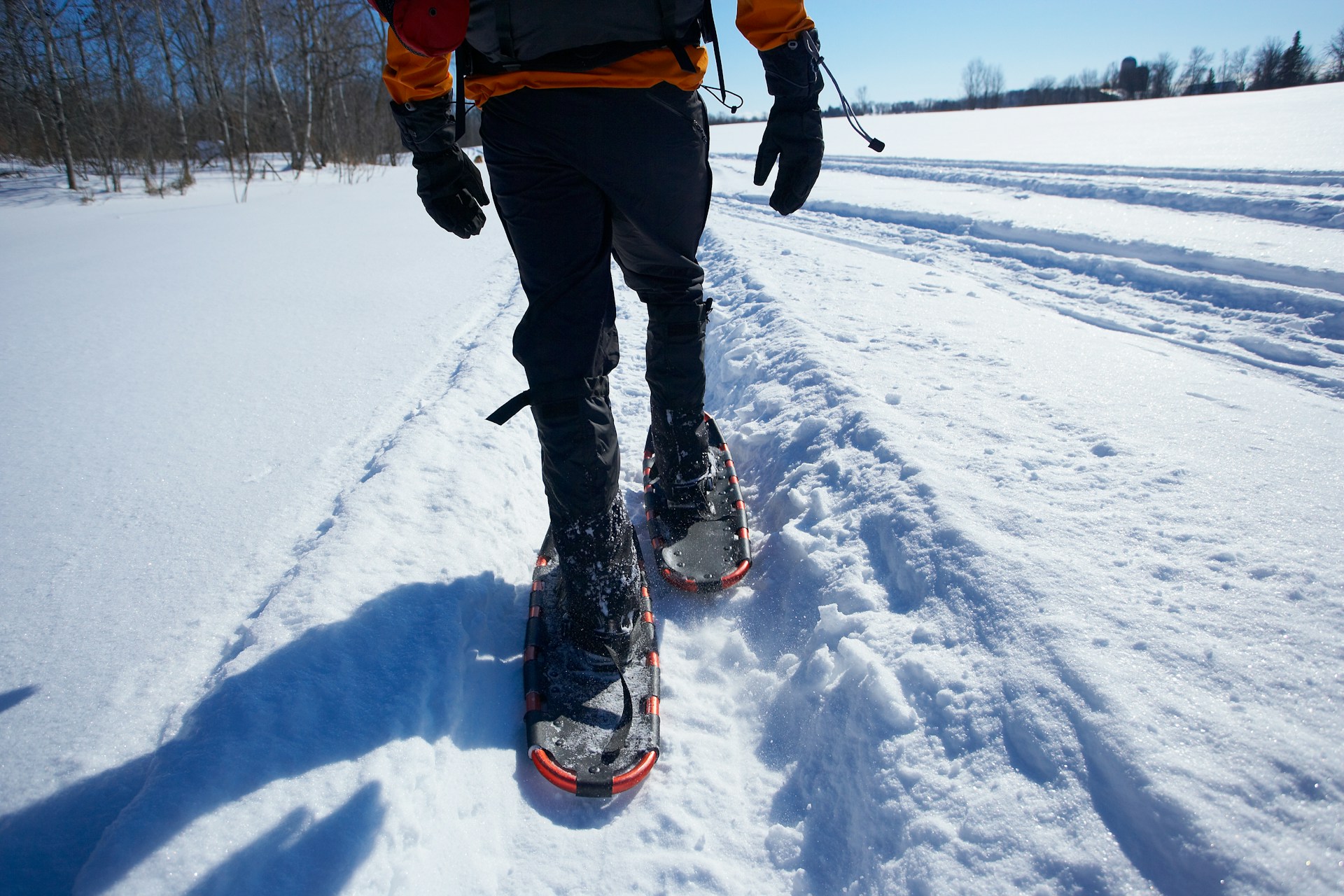 snowshoeing | snowshoeing
