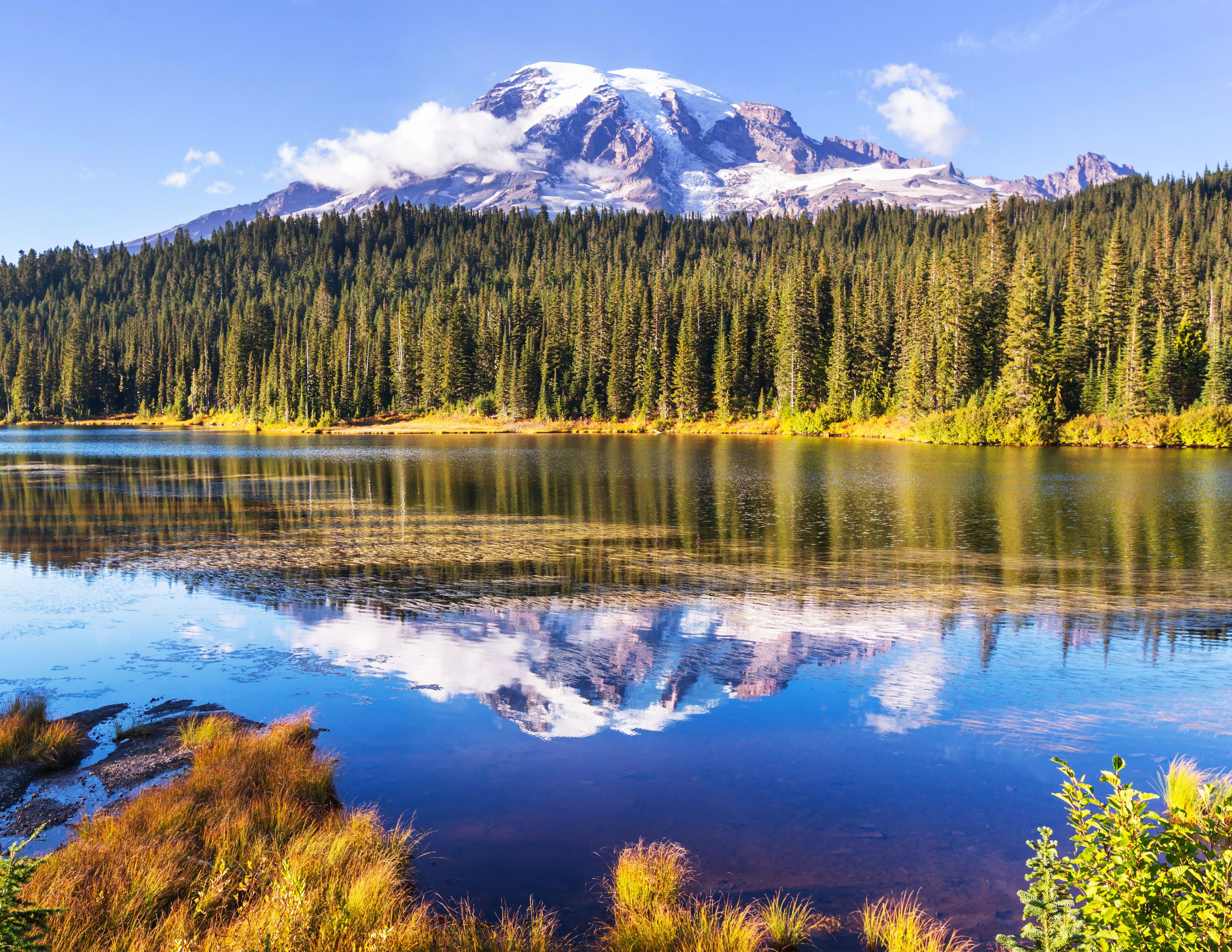 Hiking in Seattle Mount Rainier | 