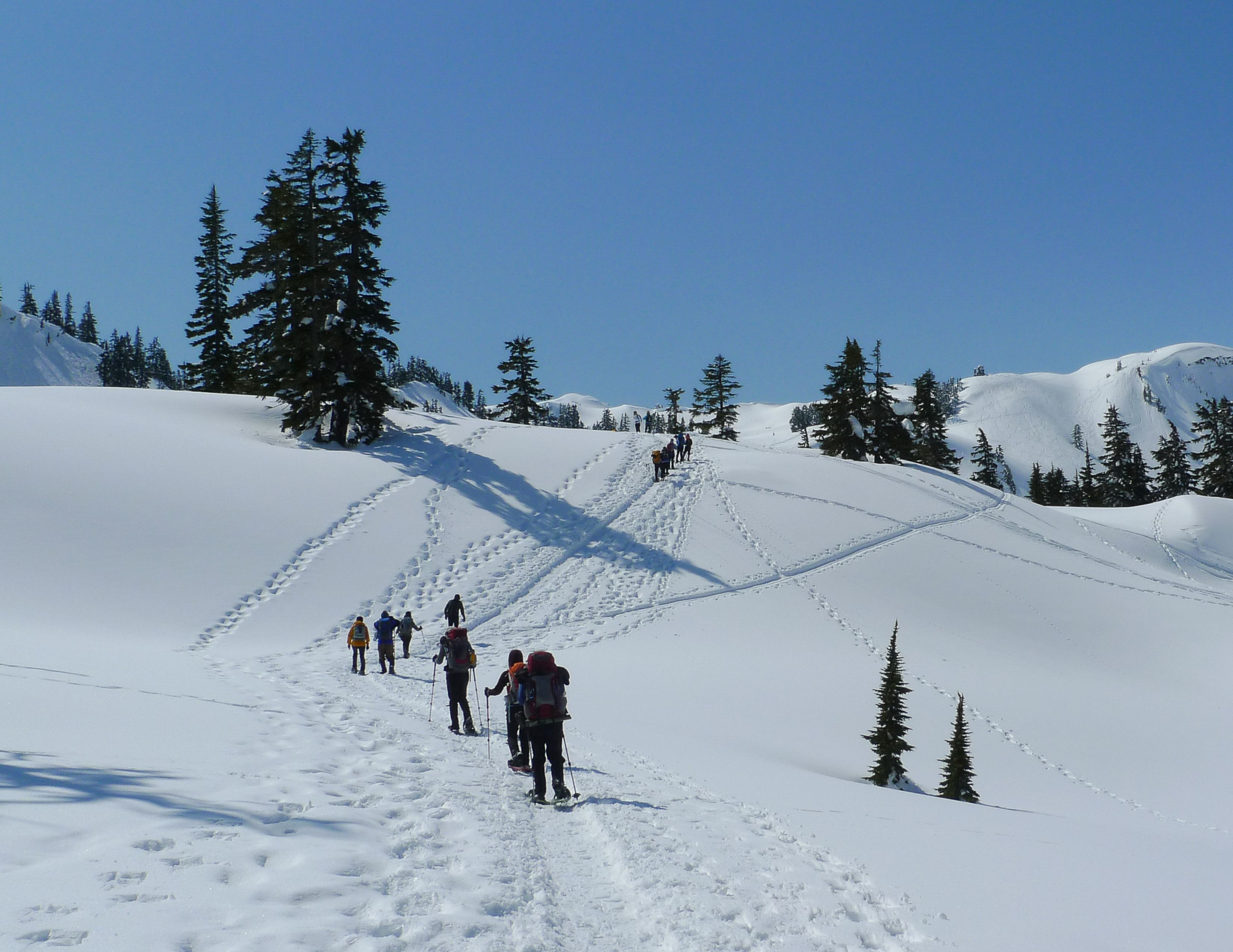 Snowshoeing Near Seattle