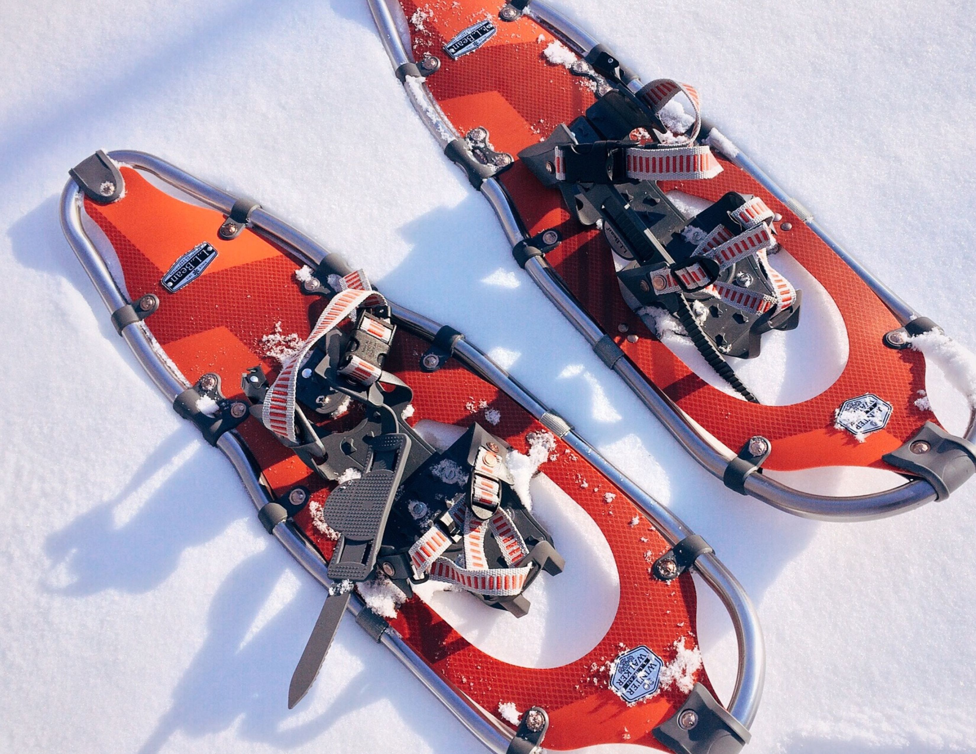 Snowshoeing gear on snowy trails