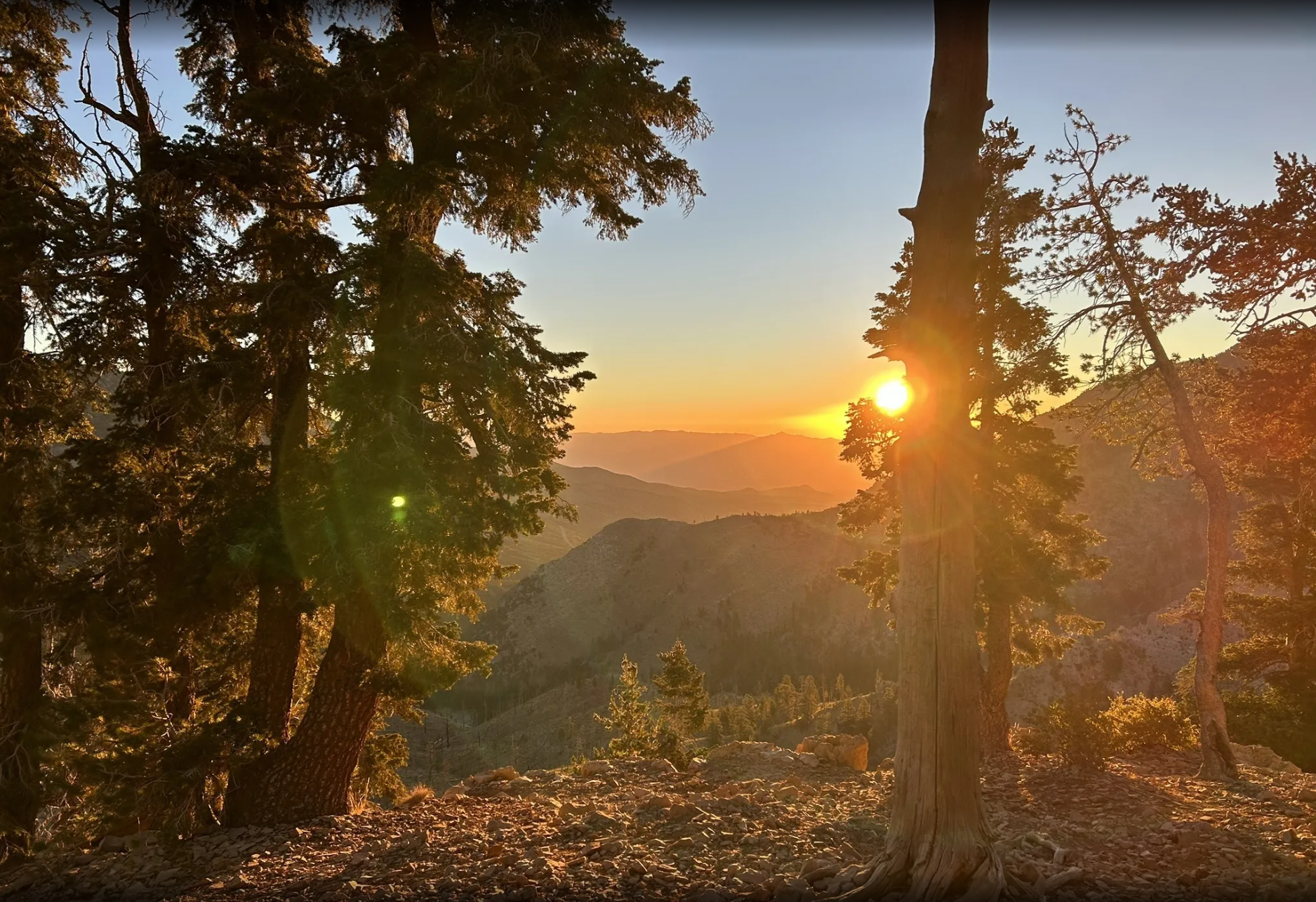 Griffith Peak Trail