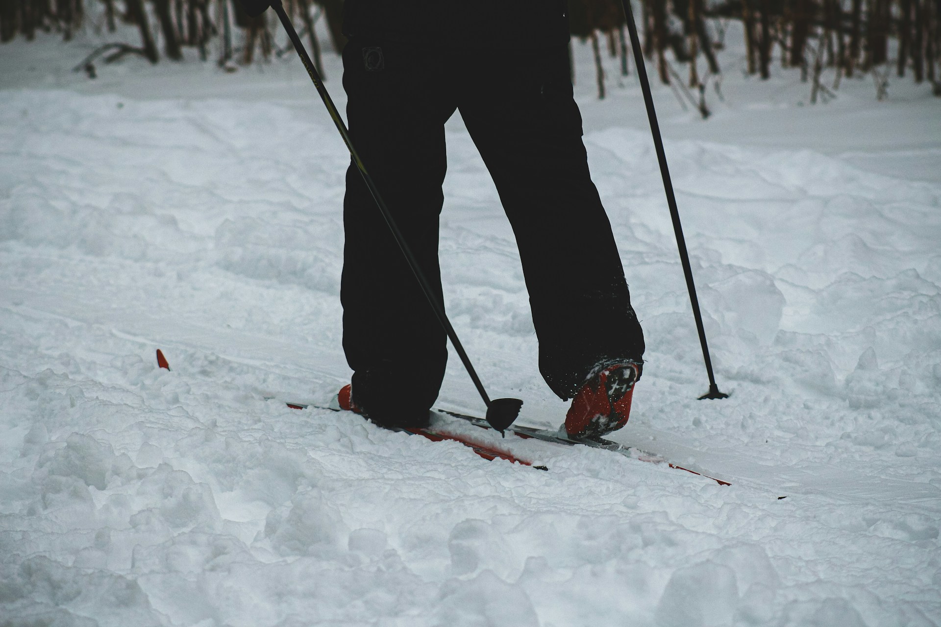snowshoeing adventure | Discover the magic of winter with a snowshoeing adventure through serene, snow-covered landscapes. 