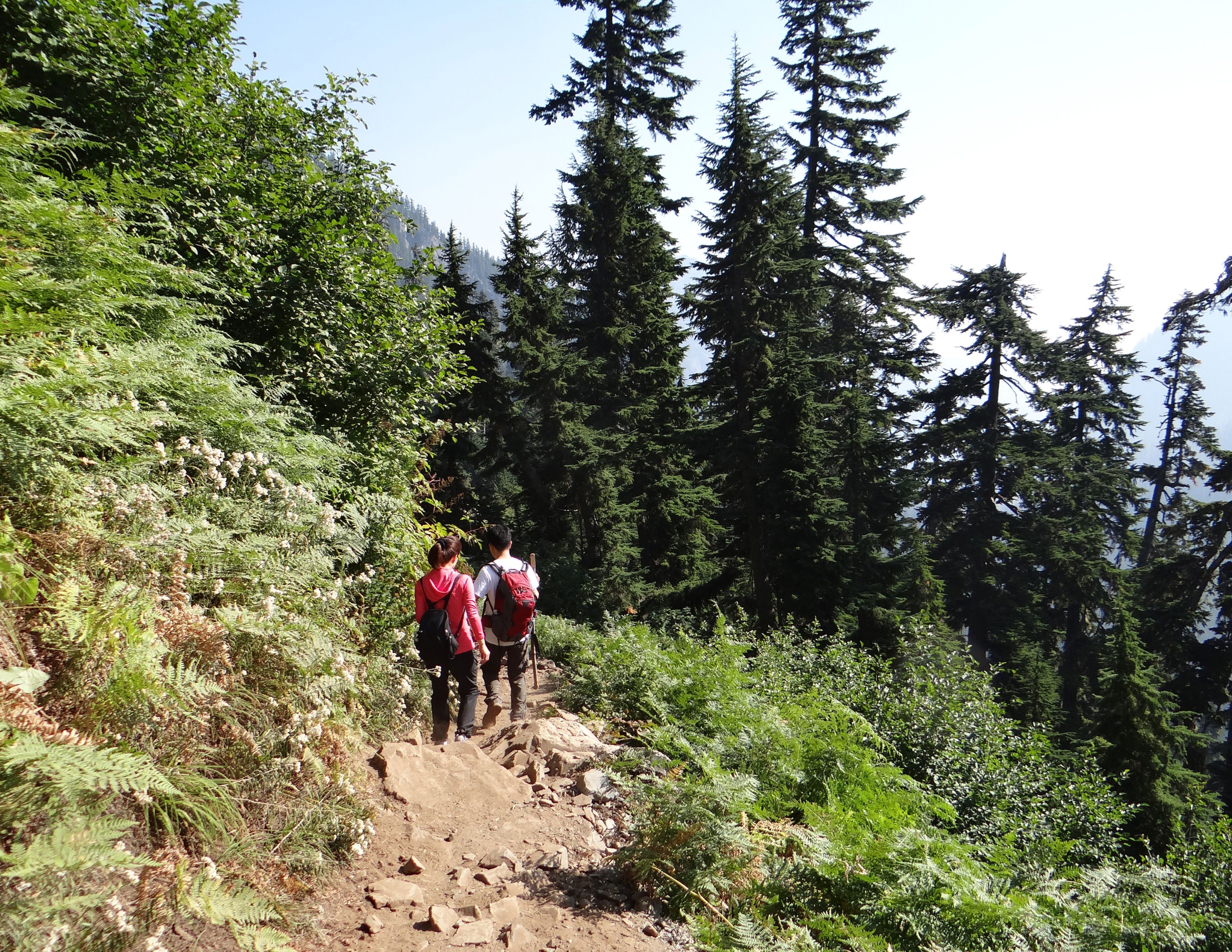 Hiking Gear Rental in Shoreline | 