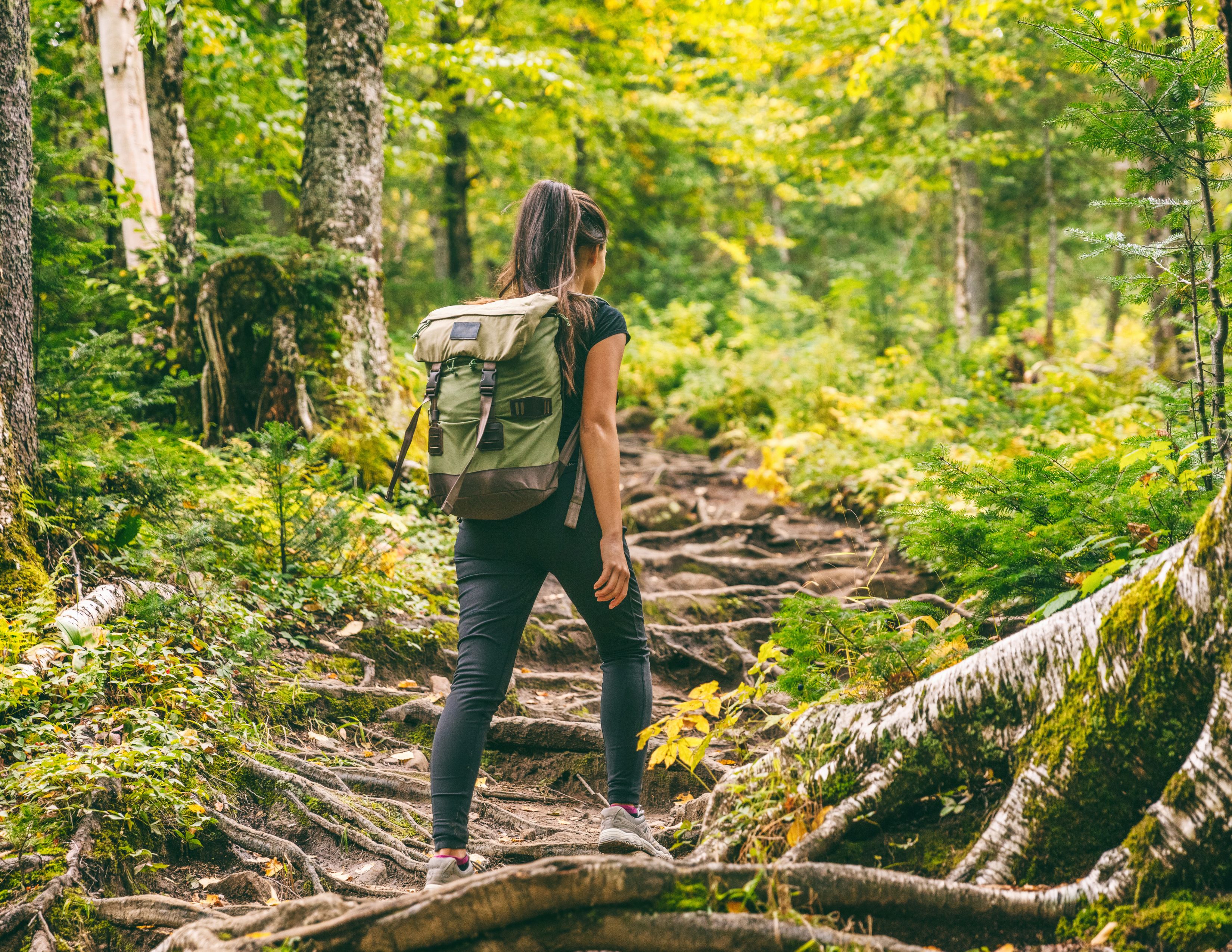 Hikers