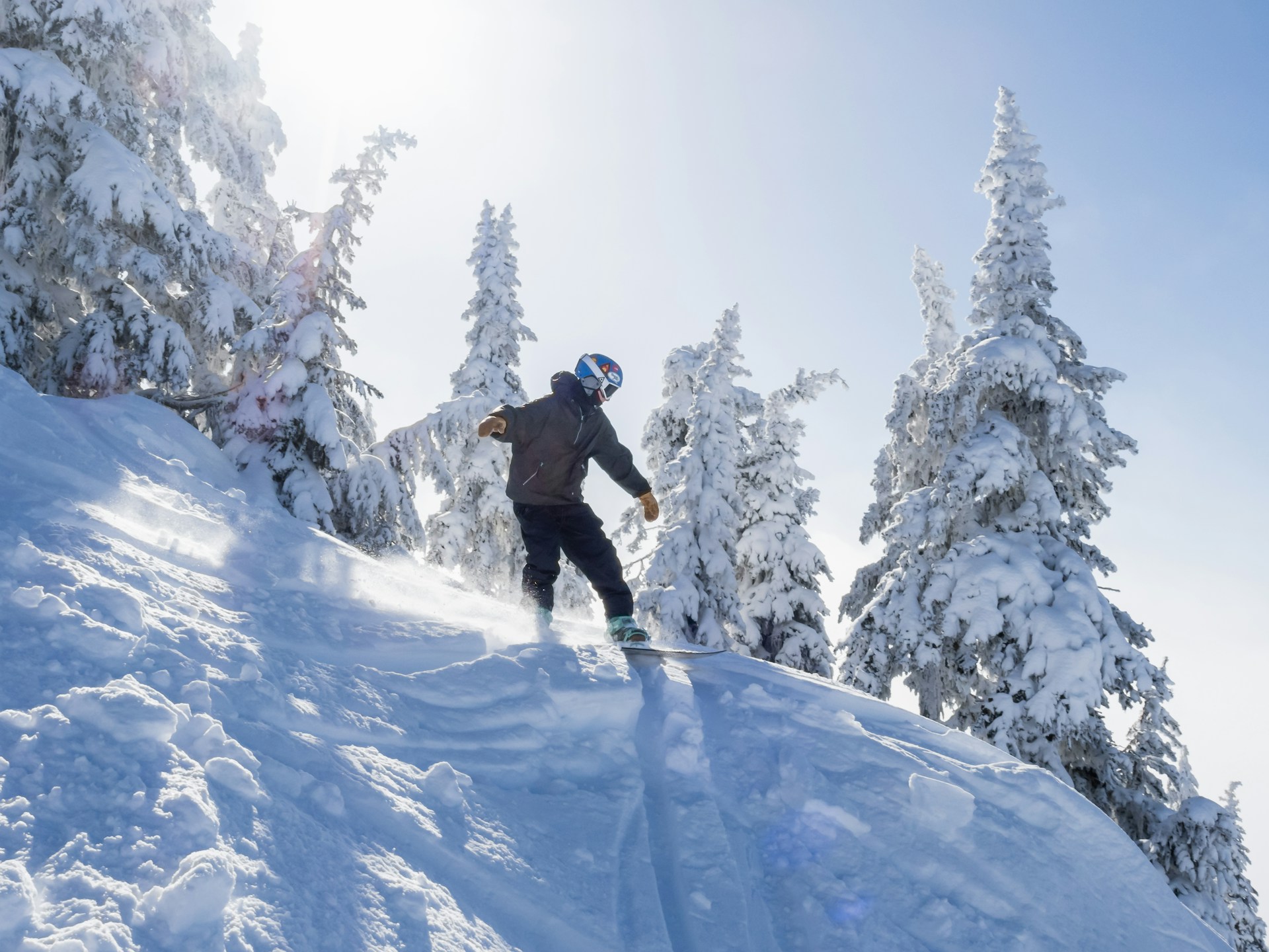 Snowboarding through trees | Snowboarding through trees