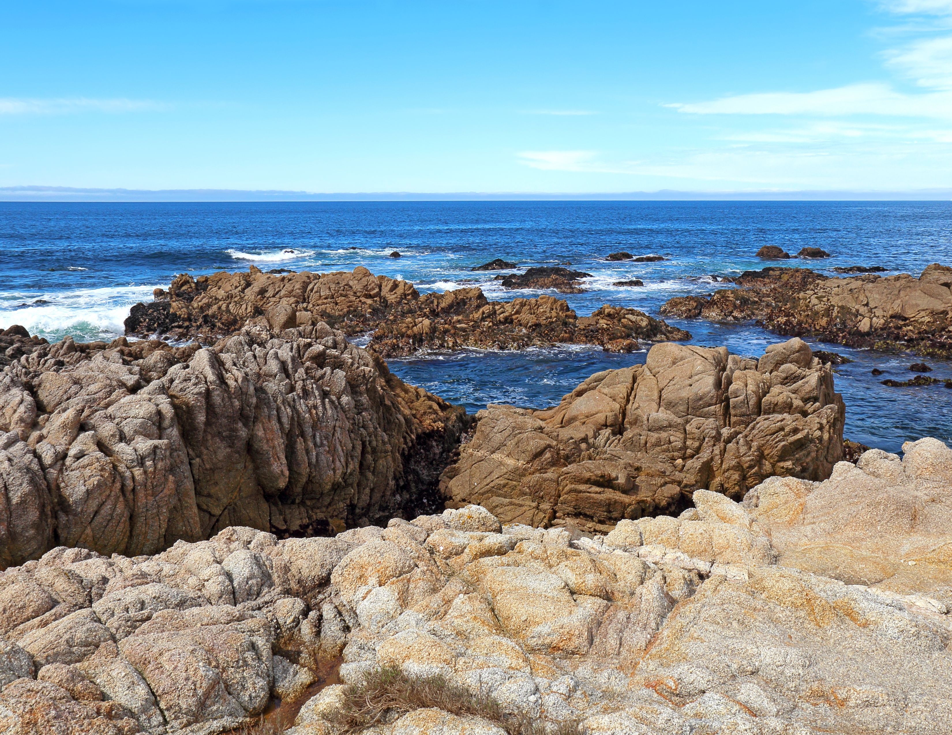 Tide pools at Bluff Cove