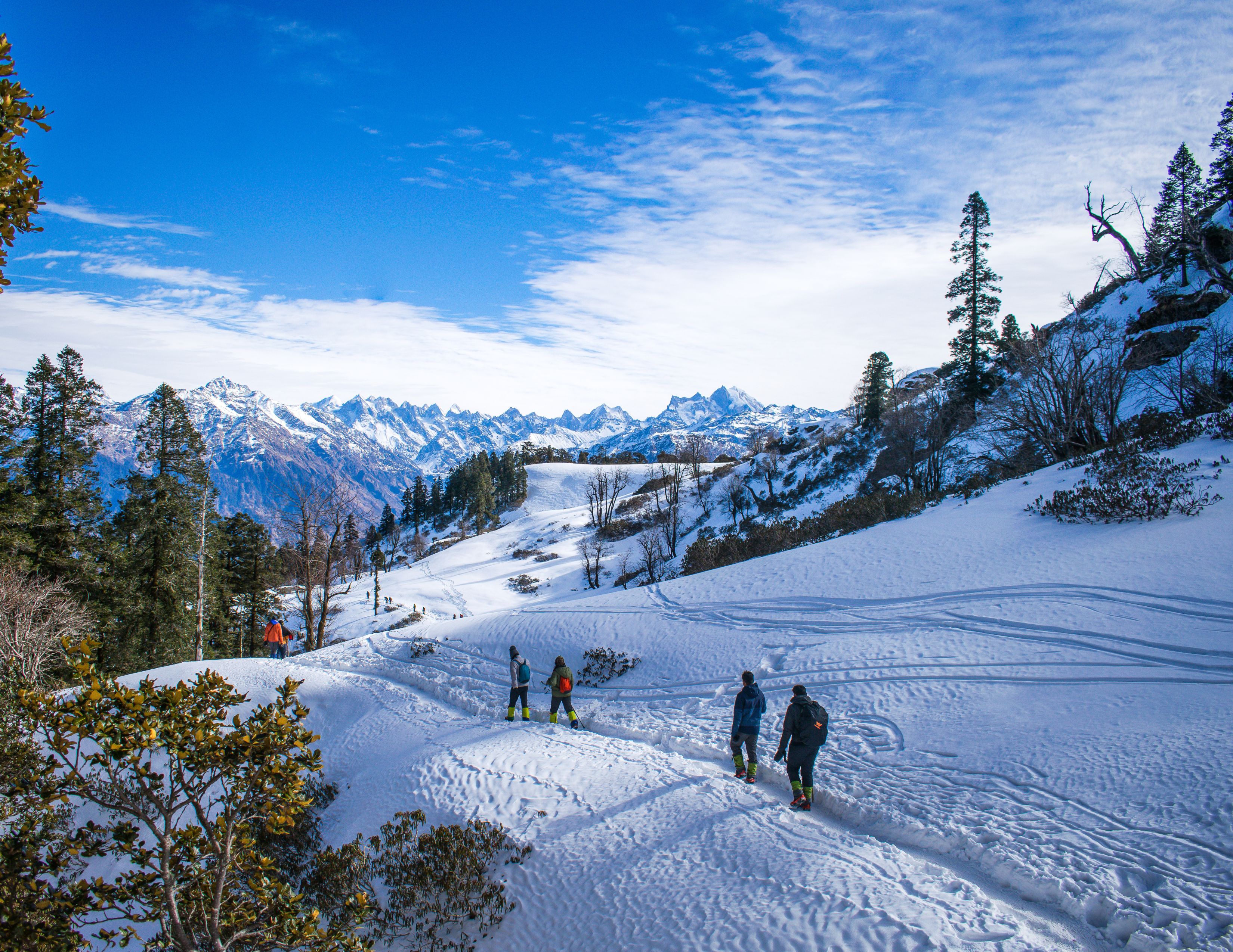 Snowy Trails